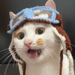 Youber