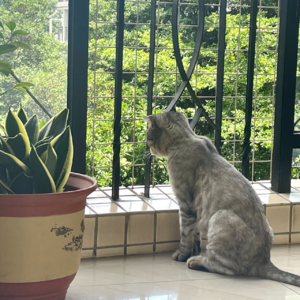 ep.011 | “破防”是窥见内心真实想法的关键时刻