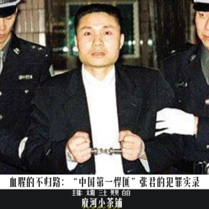 血腥的不归路:“中国第一悍匪”张君的犯罪实录