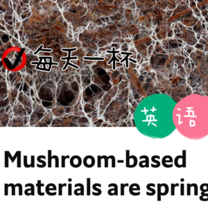 【218】菌丝也有大用处