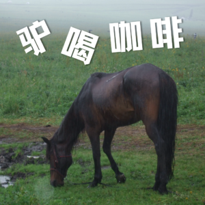 EP33. 人生是旷野。你愿意在那拉提草原上和我一起做只游荡的灵魂吗？