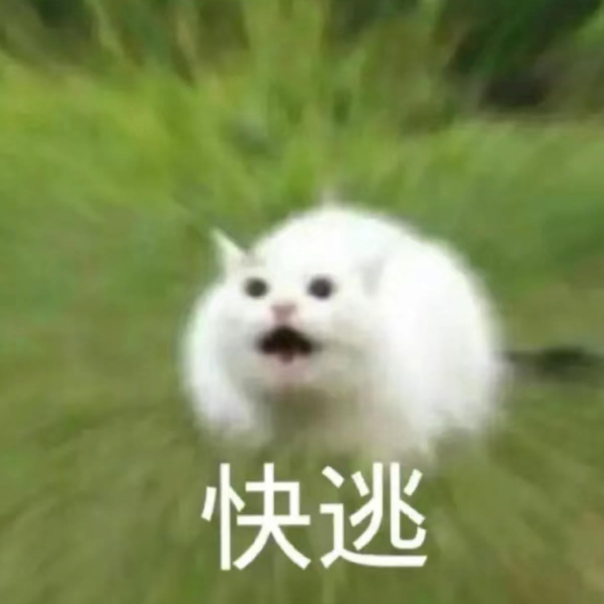ep32. 遇见这几种人，我光速逃跑。｜致最害怕的人🥲！ episode artwork