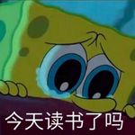 秦赛宁