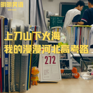 上刀山下火海,我的漫漫河北高考路
