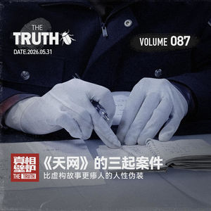87 比虚构故事更瘆人的人性伪装，《天网》三起案件。