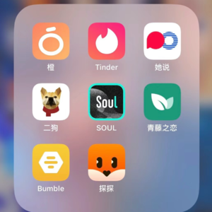 No.06那个女孩想和我结婚！Dating app食用指南，今天你用了吗