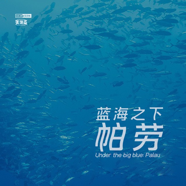 vol.146 蓝海之下：帕劳