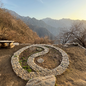 老子道德经【九】不自生故能长久 无私故能成其私