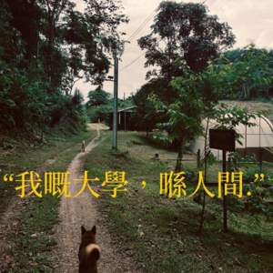 一次小尝试,用南宁白话读惠特曼《从巴门诺克开始》[片段1]