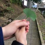 阳霁安