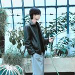 五号卷心菜