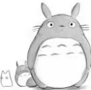 心鸿