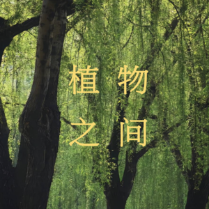 植物之间