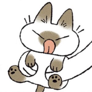 白日作梦家