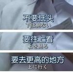 54灼灼