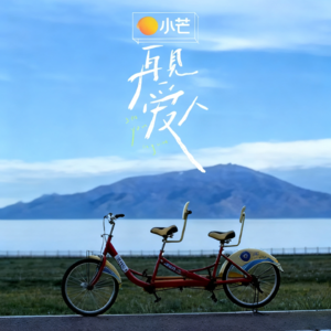 v10.《再见爱人5》深度聊：两对夫妻的相处困局与情感真相