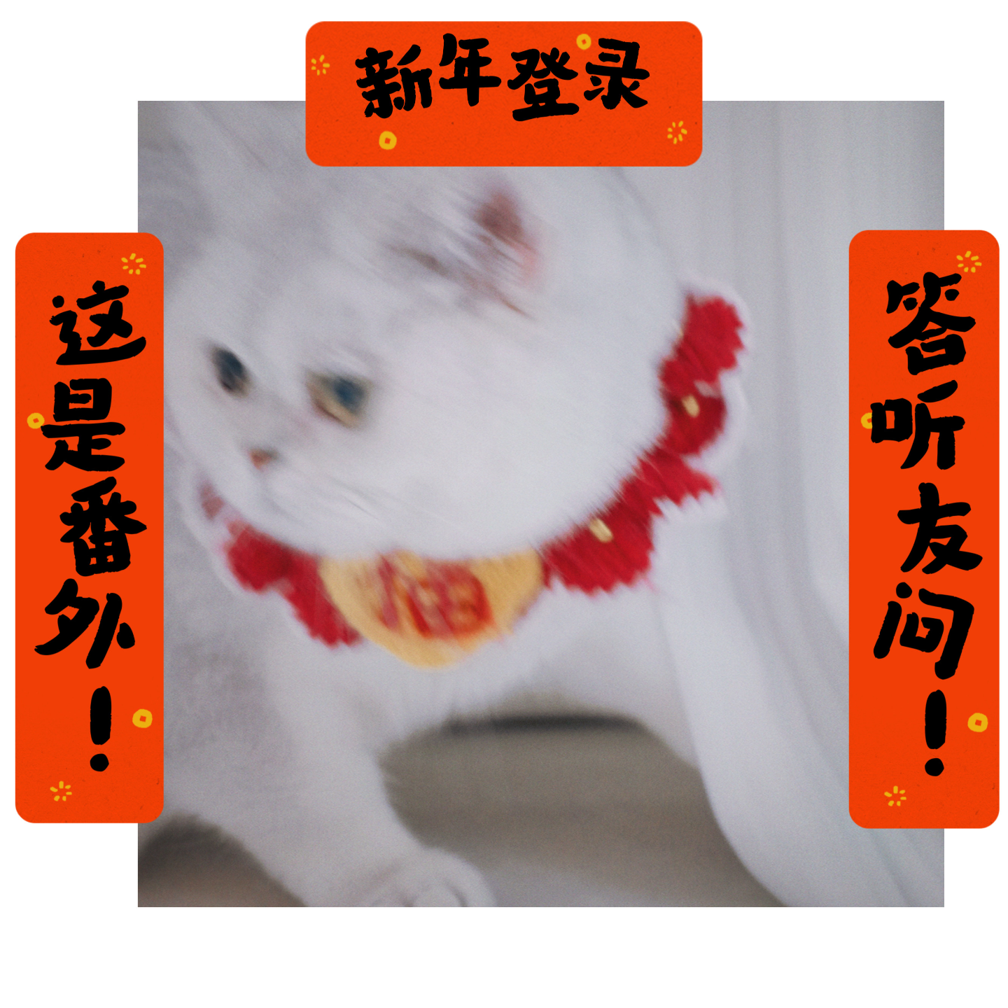 【番外】新年登录，答听友问！ episode artwork