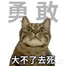 旧年与沐