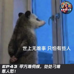 EP43 甲方难伺候，处处刁难惹人愁…