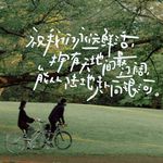 种满INFP的花园