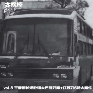 vol.8 大巴车上的四十个人形木偶:王善雨长途卧铺大巴案+江苏716特大案件