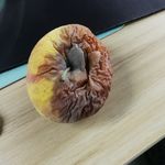 熬夜受苦