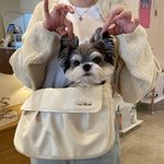 泽泽泽奇