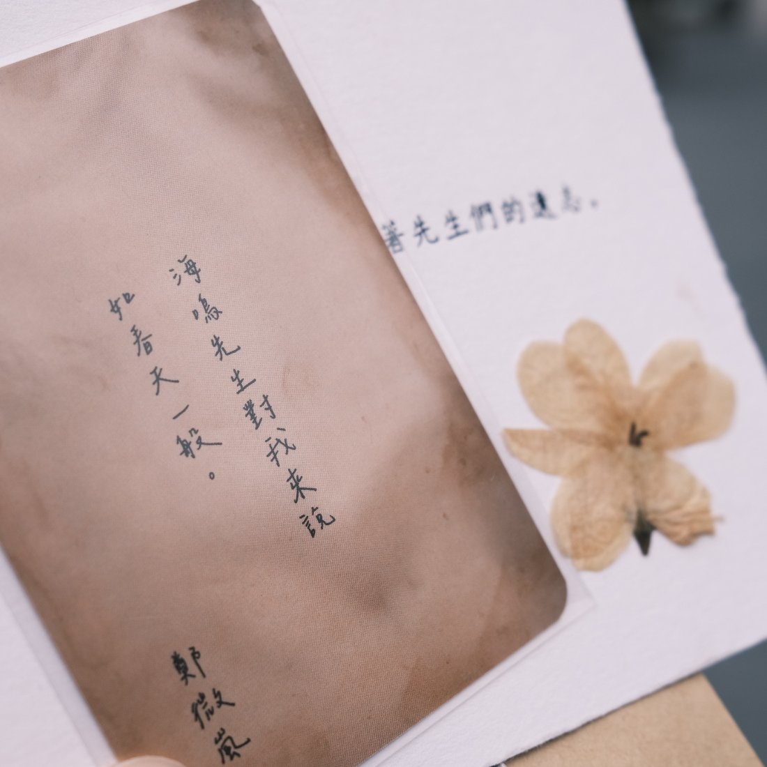 过刊064:据信,曾有人在孤岛合写情史