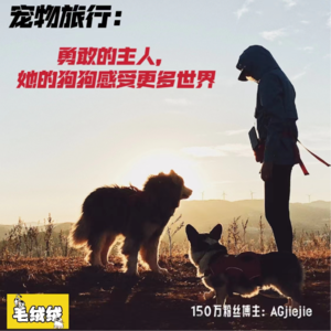 EP.04 |带狗狗去旅行吧！它们只有12个夏天！