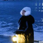苹果掉落