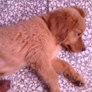 我有一个果果果果果