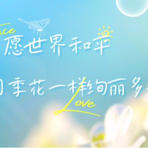《愿世界和平，像这月季花一样绚丽多彩》
