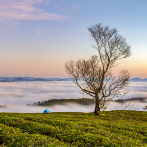 EP45 新闻主题检测和追踪