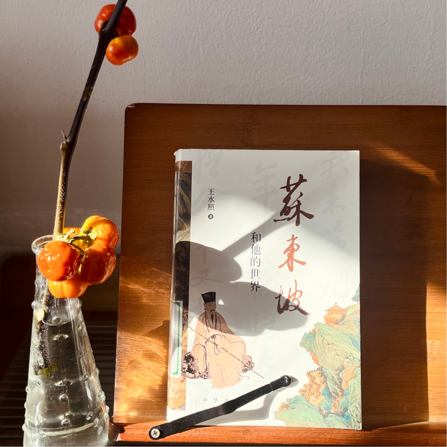 Ep06 2024终茶叙 顶级生命力 苏东坡的烟火与旷野 episode artwork