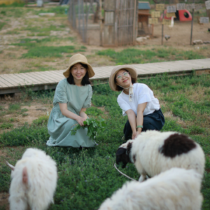 Vol1|从三里屯到密云金叵罗村,六年乡下生活的真实讲述。