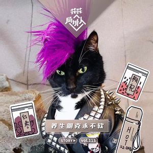 vol.115 养生朋克永不软