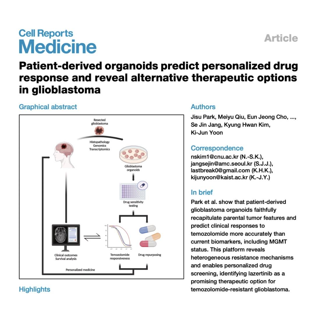 1219-Glioblastoma Organoids for Precision Oncology episode artwork