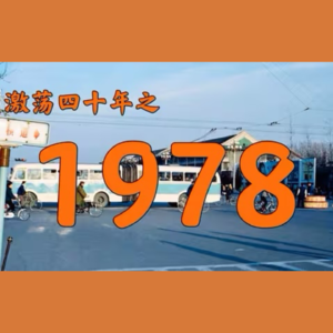 E15.1978年的中国发生了什么？【激荡四十年·1978】