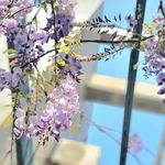 不知道起什么作用