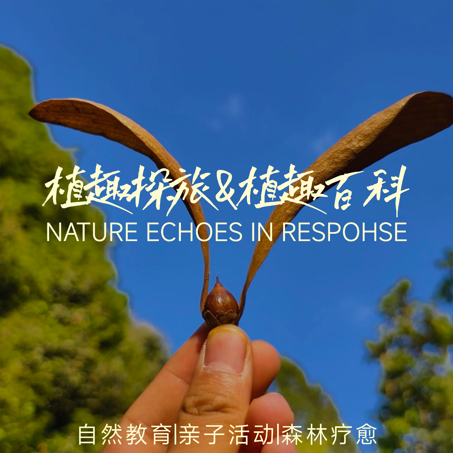 植趣探旅