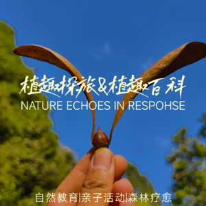 植趣探旅
