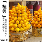 Vol.31【植务】年宵花大乱斗！挑战植物过年关！