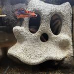 Liz_Lj3q