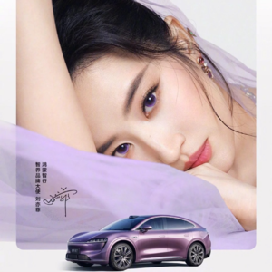 品牌去“登味”,找姐姐代言是有效路径吗?