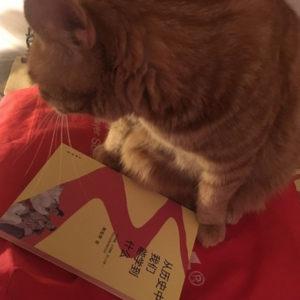 我所知道的杨瑞雪案情况