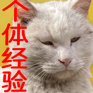 贾玲和减肥，八段锦和阳气｜练金刚功的小姐姐又来了