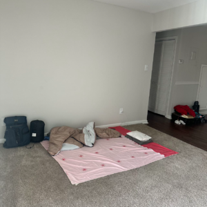 08辞职+休学！我和儿子“浪”到美国半个月，后悔了吗？