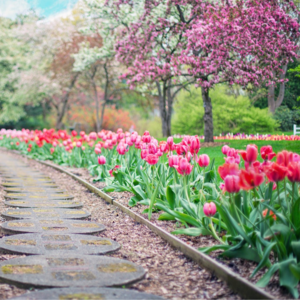 野獸電台055｜定居大理研習深度占星學與榮格心理學