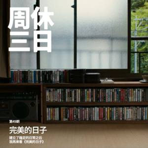 49. 建立了稳定的日常之后，我再来看《完美的日子》