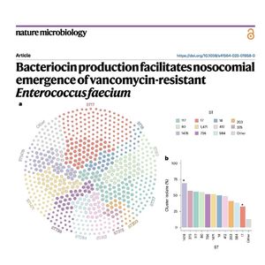 1622-Vancomycin-Resistant Enterococcus faecium